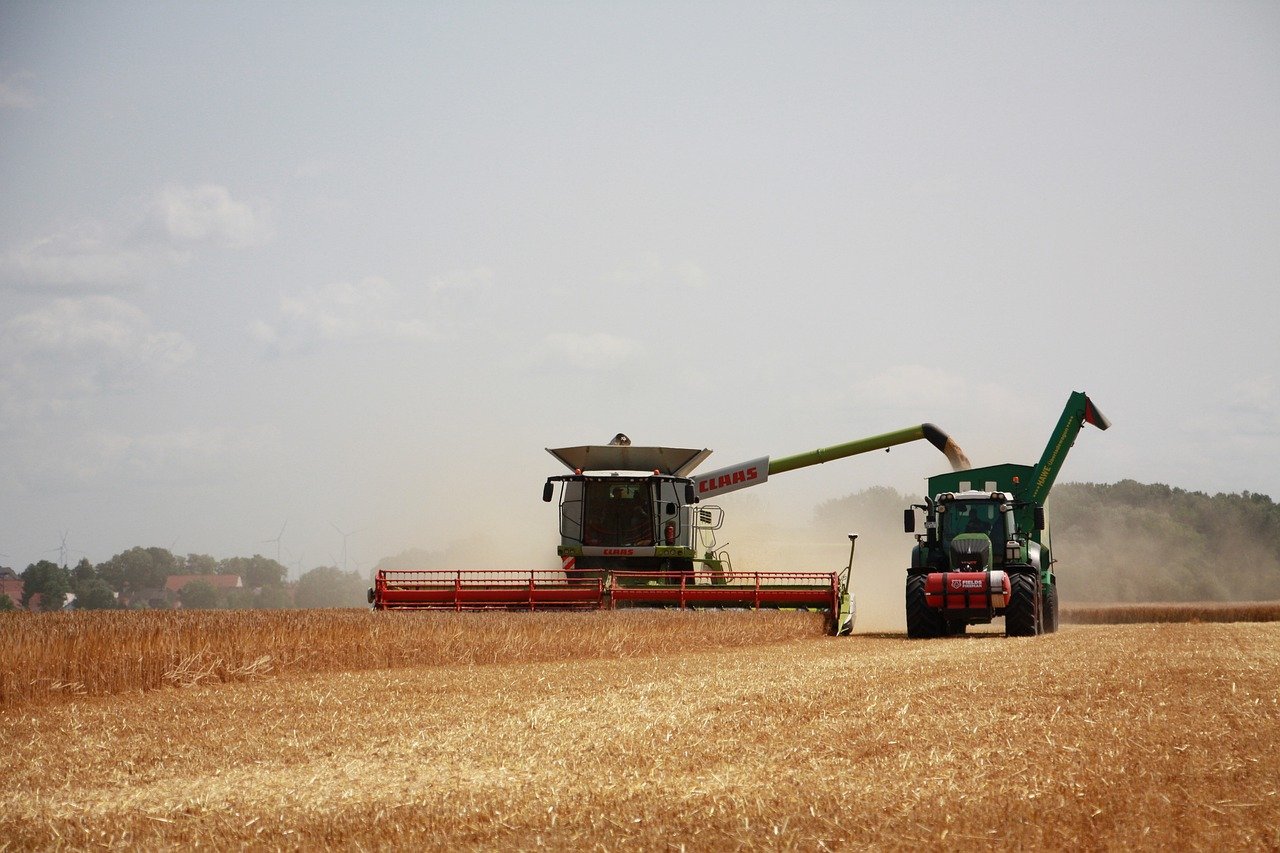 Landwirtschaftliches Bild
